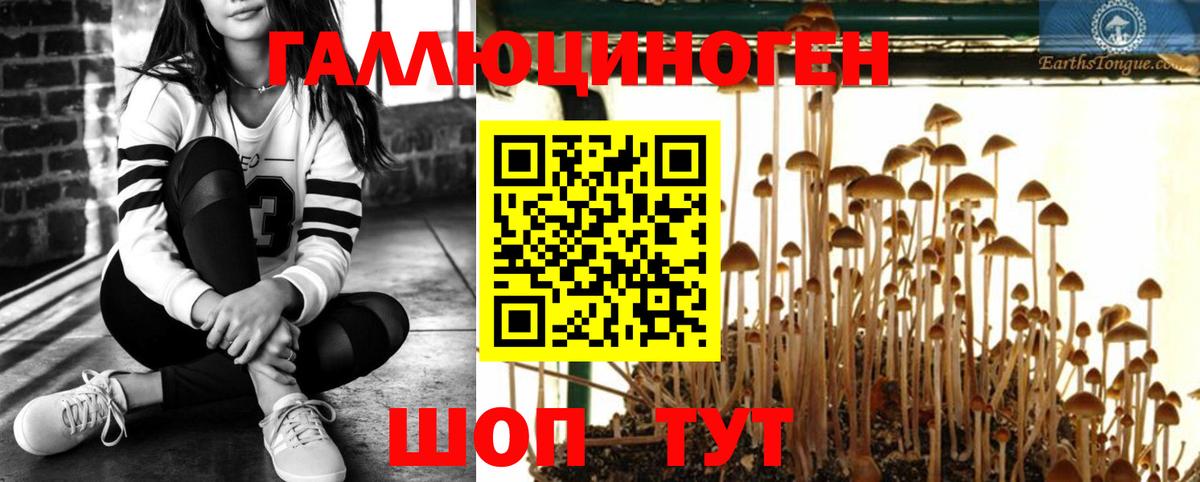 Псилоцибиновые грибы мухоморы  Псилоцибиновые грибы Cubensis  Вход с VPN  где купить наркоту  Балашиха 